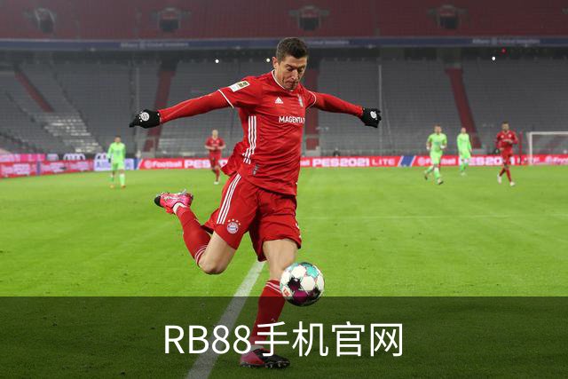 关于RB88手机官网